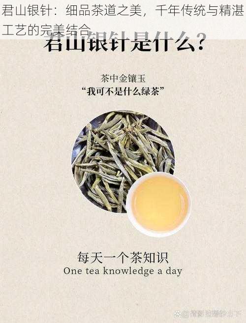 君山银针：细品茶道之美，千年传统与精湛工艺的完美结合