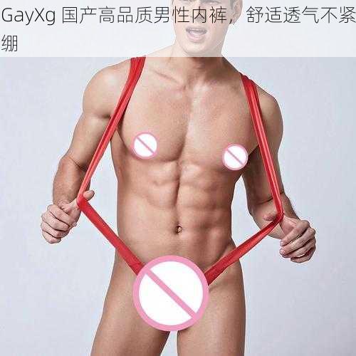 GayXg 国产高品质男性内裤，舒适透气不紧绷