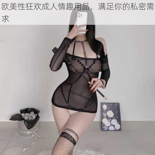 欧美性狂欢成人情趣用品，满足你的私密需求